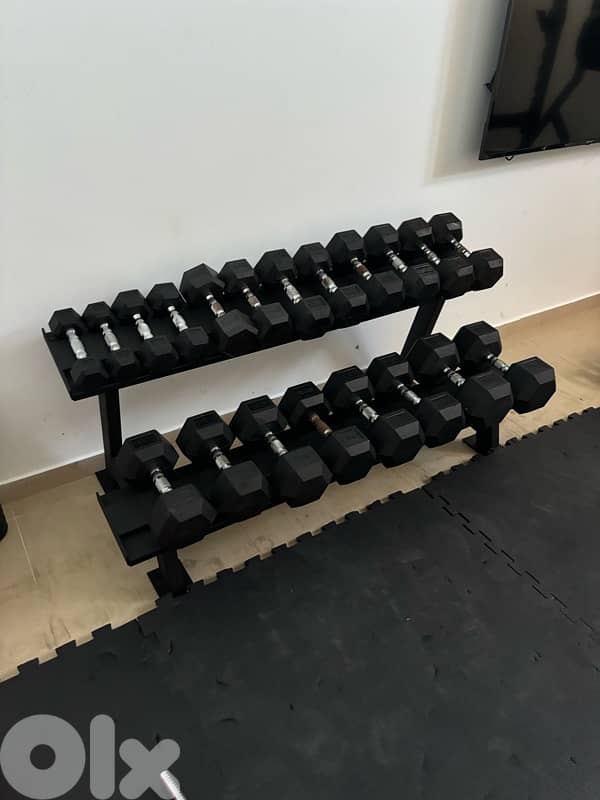 hexagonal dumbells with stand 150 cm 2 floors 2