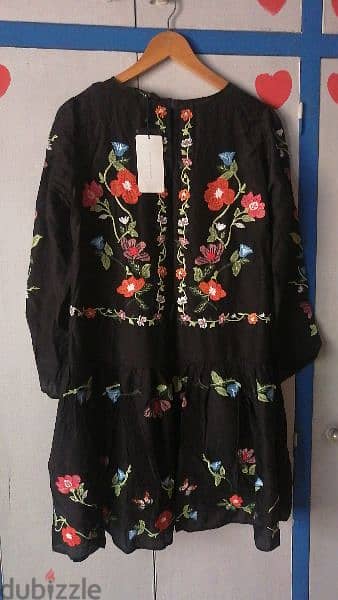 Zara Embroidery dress 0