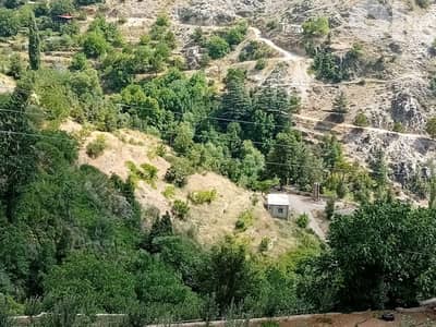 RWB112PK - Land for sale in Tannourine Batroun