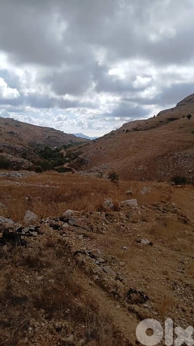 ارض للبيع في  راشيا الوادي عيحا  land for sale in 3ayha rashaya