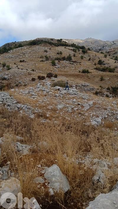 ارض للبيع في  راشيا الوادي عيحا  land for sale in 3ayha rashaya