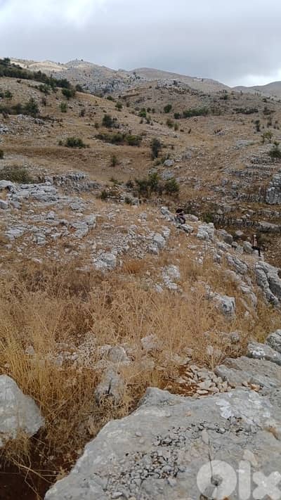 ارض للبيع في  راشيا الوادي عيحا  land for sale in 3ayha rashaya