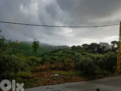 Land for sale in Al koura ارض للبيع في الكورة