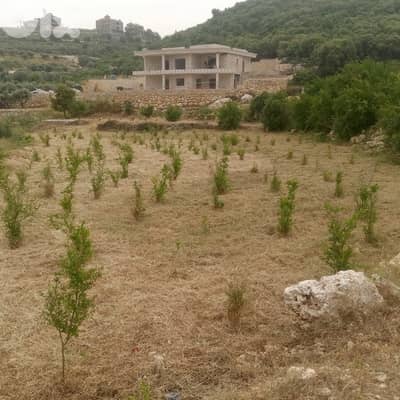Land for sale in Al koura ارض للبيع في الكورة