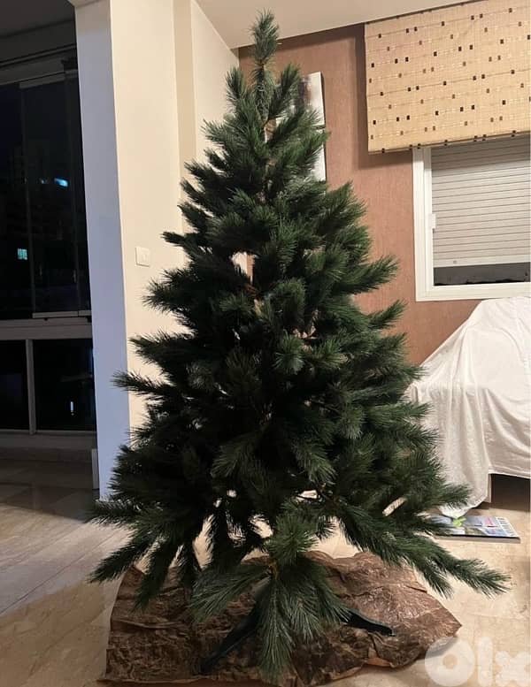 Christmas tree 0