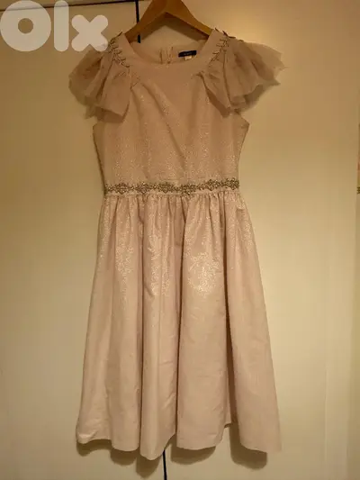 Pink shiny dress