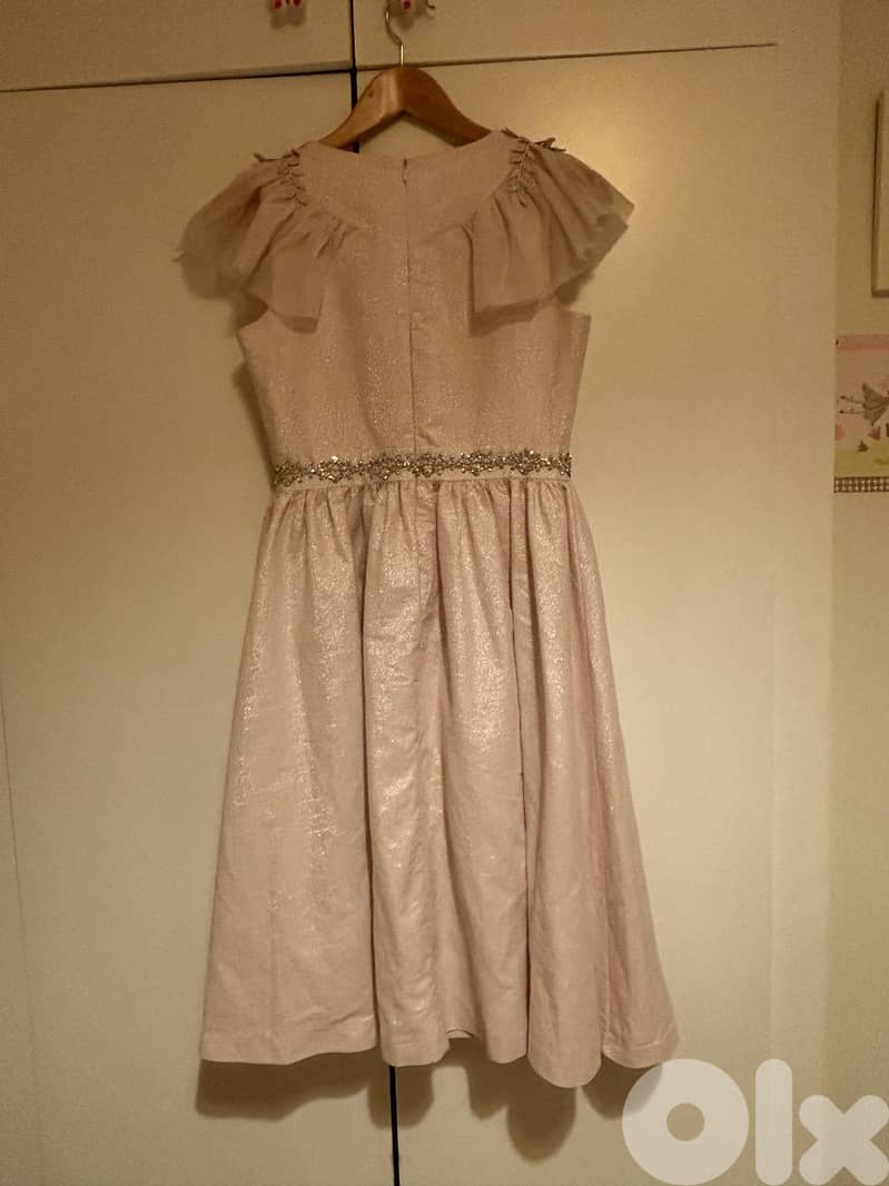 Pink shiny dress 2