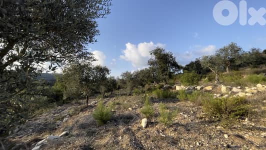 RWB185CA - Land for sale in Ain Kfaa Jbeil