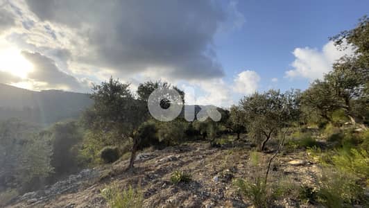 RWB185CA - Land for sale in Ain Kfaa Jbeil