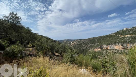 RWB190CA - Private land for sale in Aabeidat Jbeil