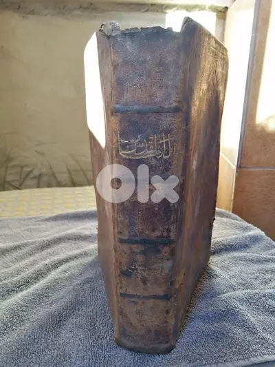 Vincentius Bracco 1878 bible
