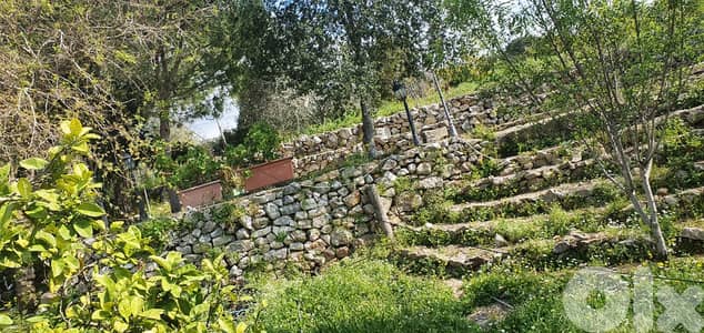 Independent house for sale in Batroun بيت مستقل للبيع في بترون