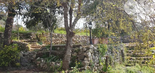 Independent house for sale in Batroun بيت مستقل للبيع في بترون