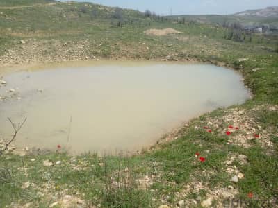 12000 Sqm | Land for sale in Hemmena ضهر البيدر -الأوتوستراد العام