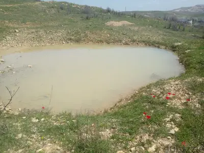 12000 Sqm | Land for sale in Hemmena ضهر البيدر -الأوتوستراد العام