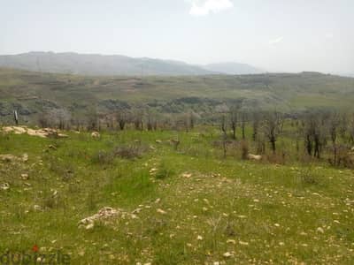 12000 Sqm | Land for sale in Hemmena ضهر البيدر -الأوتوستراد العام