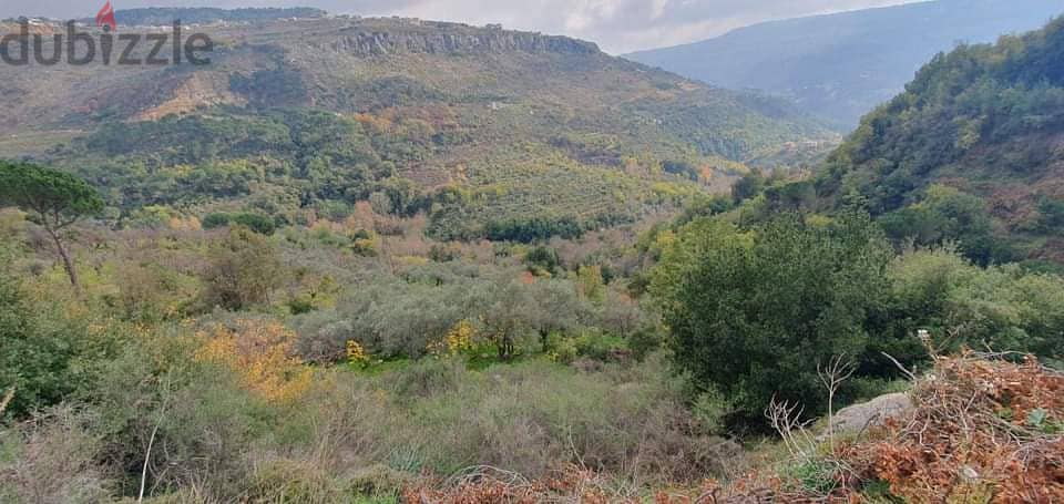 LAND FOR SALE 2