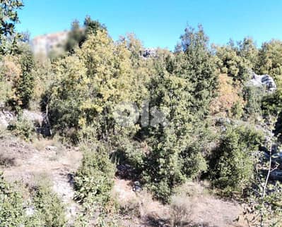 CALMEST AREA / 1100 SQM LAND IN FAITROUN -فيطرون FOR SALE ! REF#SE0135