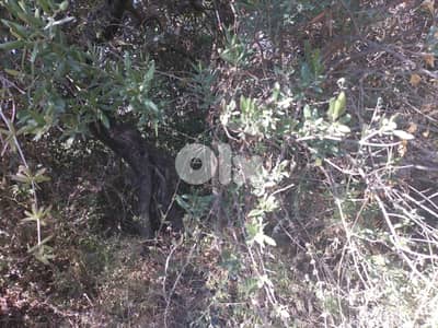 1362 SQM Land in Wadi Chahrour, Baabda Overlooking the Mountains