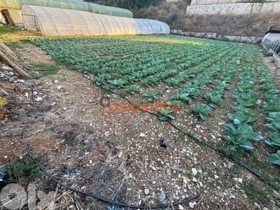 Land For Sale in Blat Jbeil ارض للبيع في بلاط جبيل CPJRK235