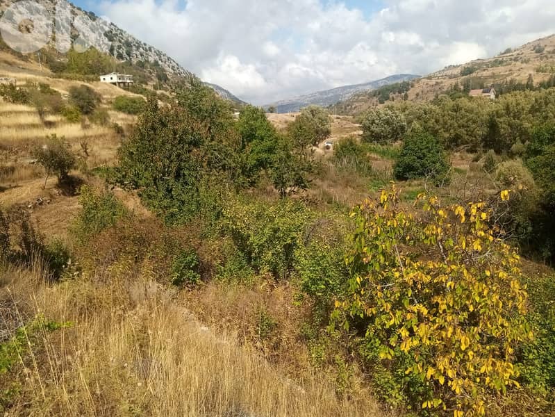 RWB123PK - Land for sale in Laklouk Jbeil 0