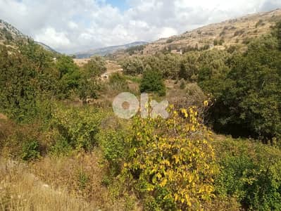 RWB123PK - Land for sale in Laklouk Jbeil
