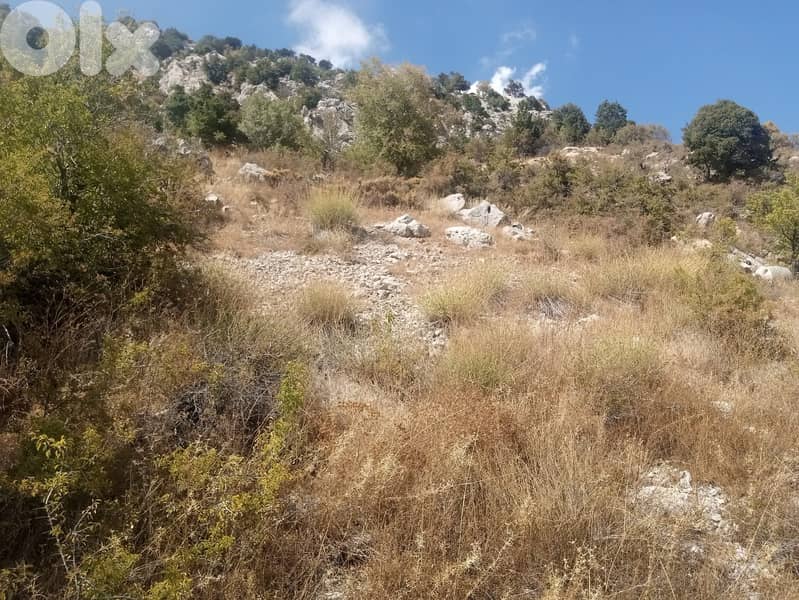 RWB123PK - Land for sale in Laklouk Jbeil 3