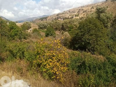 RWB123PK - Land for sale in Laklouk Jbeil