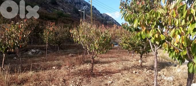 RWB125PK - Land for sale in Laklouk Jbeil