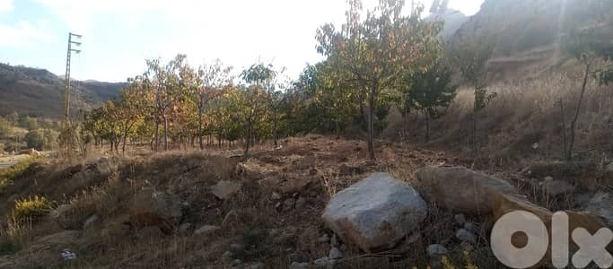 RWB125PK - Land for sale in Laklouk Jbeil