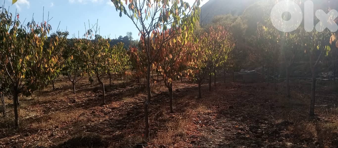 RWB125PK - Land for sale in Laklouk Jbeil 5
