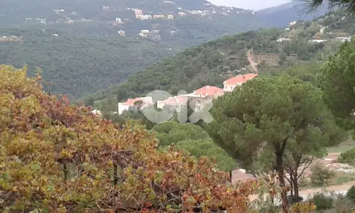 3 villas for sale in broumana. فيلا عدد ٣ للبيع في برمانا 3 villas for sale in broumana. فيلا عدد ٣ للبيع في برمانا