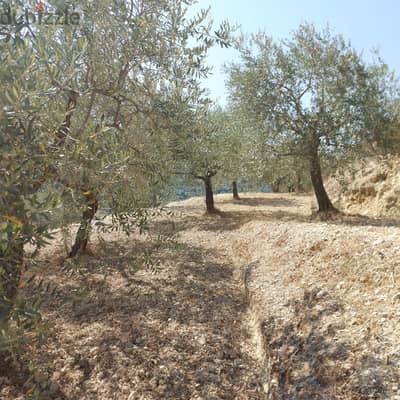 Land for sale in Kfarhay-Batroun ارض للبيع في كفرحي - البترون