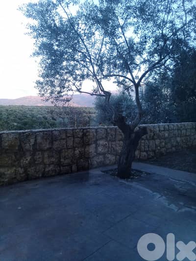 Apartment for sale in Koura شقة للبيع في   الكورة