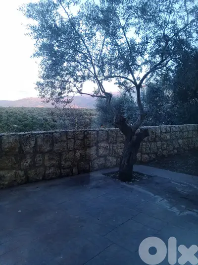 Apartment for sale in Koura شقة للبيع في   الكورة