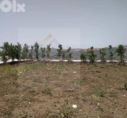 FAQRA PRIME WITH GARDEN GATED COMMUNITY + VIEW - KFA-102 0