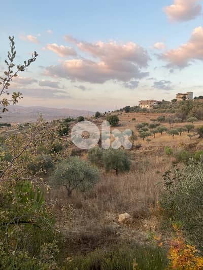 ارض للبيع في راشيا الوادي land for sale in rashaya