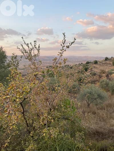 ارض للبيع في راشيا الوادي land for sale in rashaya