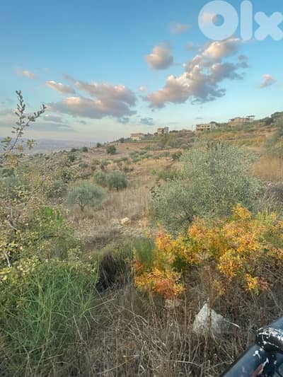 ارض للبيع في راشيا الوادي land for sale in rashaya
