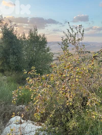 ارض للبيع في راشيا الوادي land for sale in rashaya