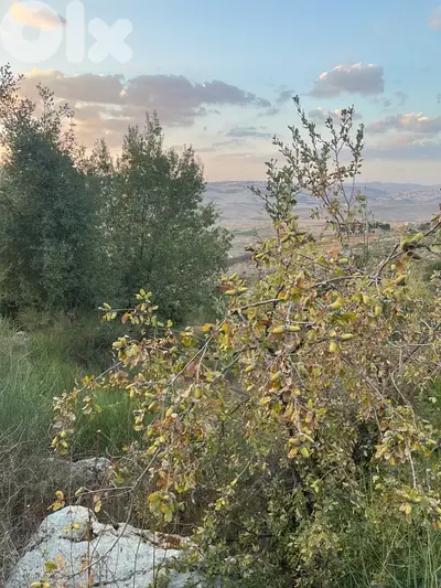 ارض للبيع في راشيا الوادي land for sale in rashaya