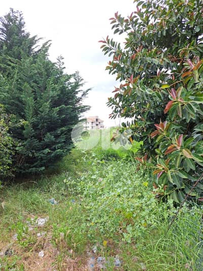 Land for sale in Mtayleb أرض للبيع في المطيلب