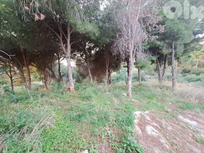 Land for sale in Mtayleb أرض للبيع في المطيلب