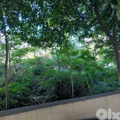 Land in Jal El dib for sale أرض للبيع في جل الديب