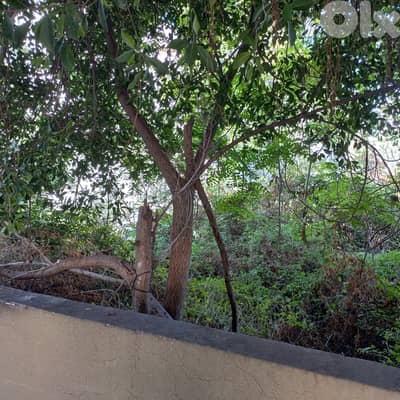 Land in Jal El dib for sale أرض للبيع في جل الديب