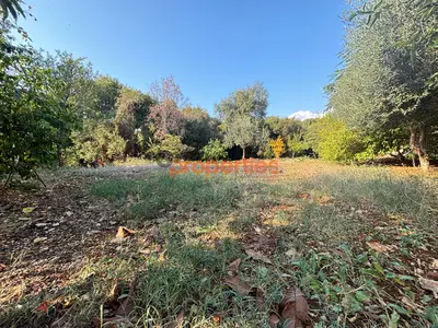 Land For Sale in Aamchit Jbeil ارض للبيع في عمشيت جبيل CPJRK239