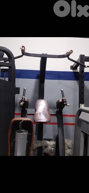 Chin dips machine NEW 525$ 0