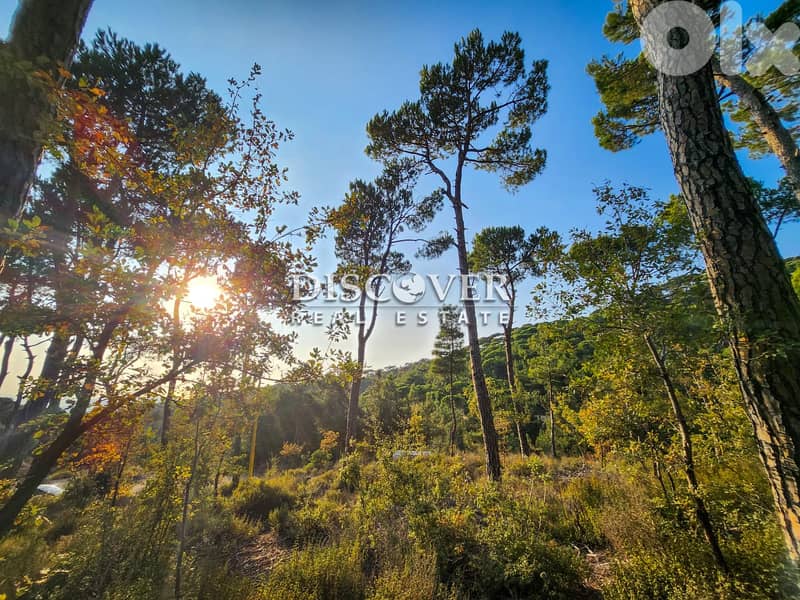Rare Find Alert: Unmatched Land in Shalimar, Baabdat  ( chalimar) 0