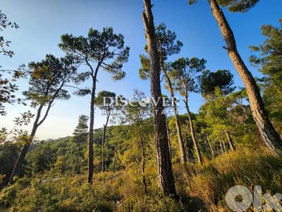 Rare Find Alert: Unmatched Land in Shalimar, Baabdat  ( chalimar)
