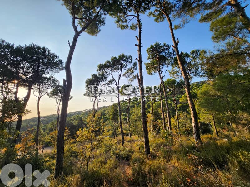 Rare Find Alert: Unmatched Land in Shalimar, Baabdat  ( chalimar) 2
